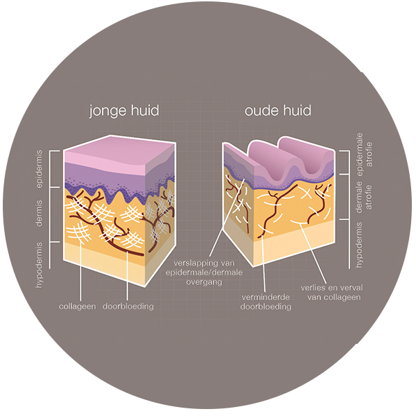 Skin analyse Access to life